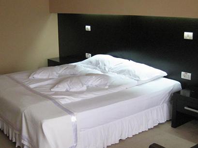 Hotel 4* Delpack Timisoara Romania