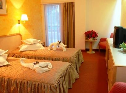 Hotel 3* Central Calimanesti Caciulata Romania