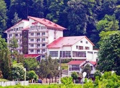 Hotel 3* Orizont Cozia Calimanesti Caciulata Romania