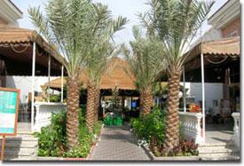 Hotel 3* Regent Beach Resort Dubai Emiratele Arabe