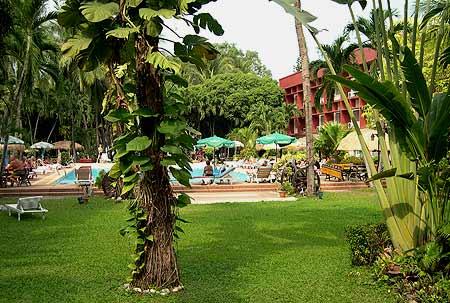 Hotel 3* Nova Ladge Pattaya Thailanda