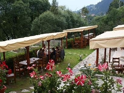 Vila 3* Iulia Vatra Dornei Romania