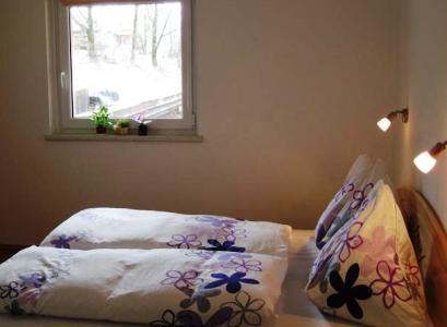 Pensiune 3* Haus Victoria Kitzbuhel Austria