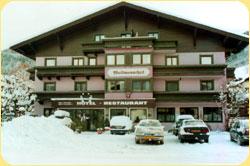 Aparthotel 3* Waidmannsheil Kaprun Austria