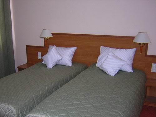 Hotel 3* Rivulus Baia Mare Romania