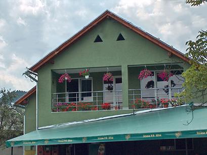 Pensiune 3* Alisa Sarasau Romania