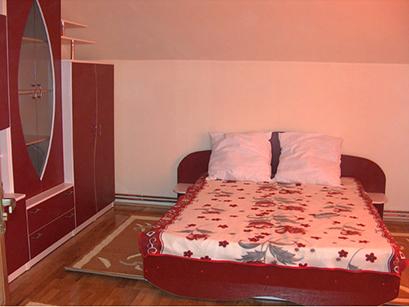 Pensiune 3* Alisa Sarasau Romania