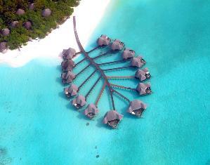 Resort 5* Coco Palm Dhuni Kolhu Atolul Baa Maldive