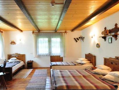 Pensiune 3* Conacul Domnitei Gura Humorului Romania