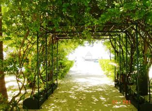 Resort 3* Summer Island Village Atolul Male Maldive