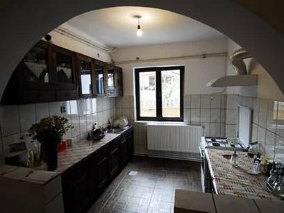 Pensiune 2* Casa Padurarului Scarisoara Romania