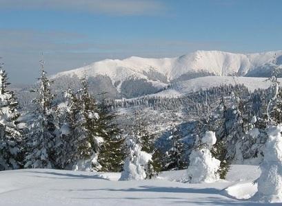 Hotel 2* Cerbul Borsa Romania