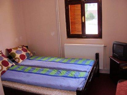 Pensiune 2* Favorit Borsa Romania