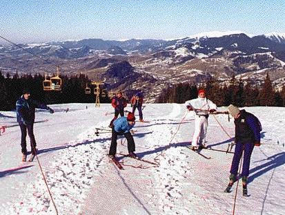 Pensiune 2* Favorit Borsa Romania