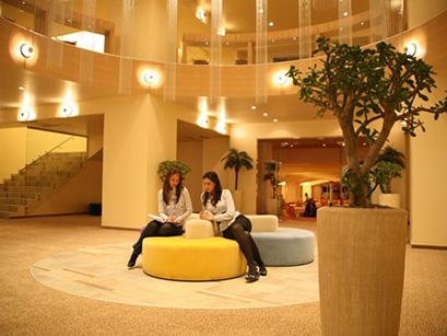 Hotel 4* RIN Airport Bucuresti Romania