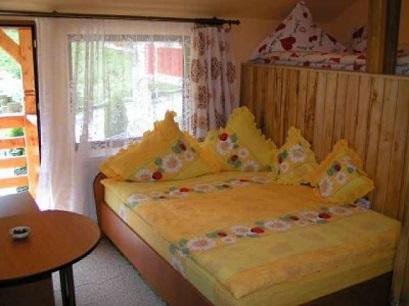 Pensiune 2* Eladi Borsa Romania