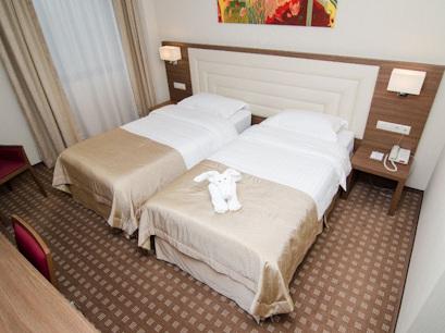 Hotel 4* Central Plaza Piatra Neamt Romania