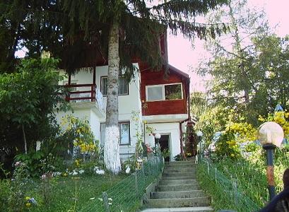 Pensiune 2* Ioana Borsa Romania