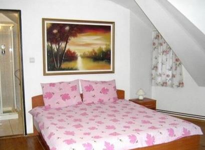 Pensiune 2* Ioana Borsa Romania