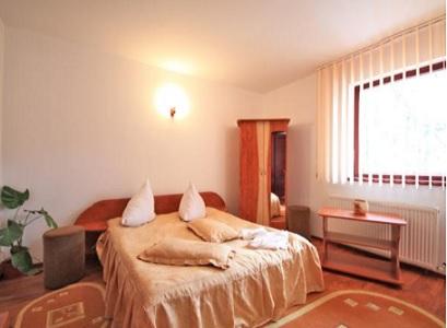 Pensiune 3* Europa Baile Olanesti Romania