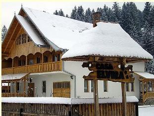 Casa Particulara 3* Elvira Vama Romania