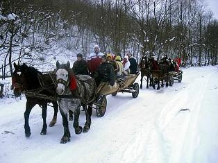 Casa Particulara 3* Elvira Vama Romania
