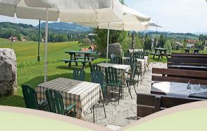 Pensiune 3* GASTHOF AM RIEDL Salzburg Austria