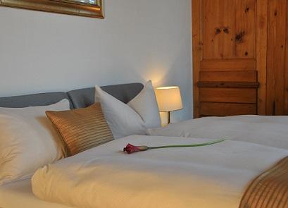 Hotel 3* Eden St. Moritz Elvetia