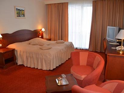 Hotel 3* Alinalex Brasov Romania