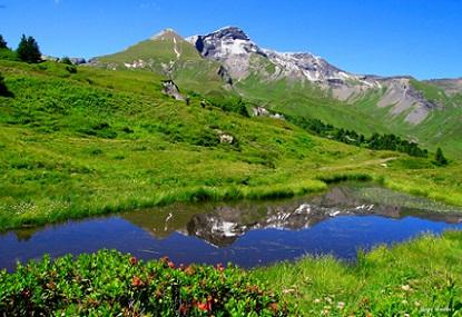 Hotel 2* Derby Interlaken Elvetia