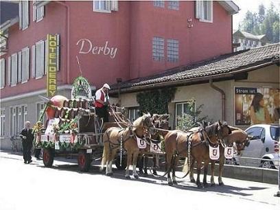 Hotel 2* Derby Interlaken Elvetia