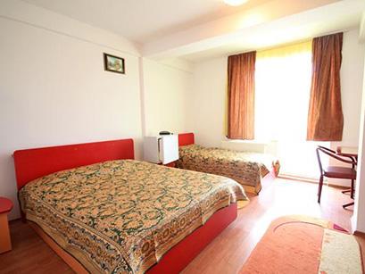 Hotel 3* Albert Suceava Romania