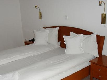 Hotel 3* Dana II Satu Mare Romania