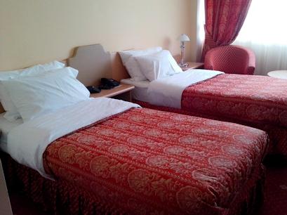 Hotel 3* Belvedere Braila Romania