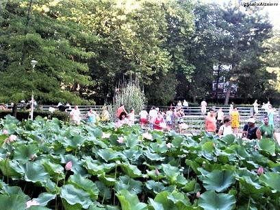 Hotel 2* Unirea Baile Felix Romania