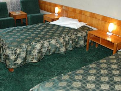 Hotel 2* Timis Buzias Romania