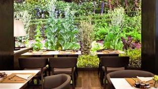 Hotel 4* Starhotels Echo Milano Italia