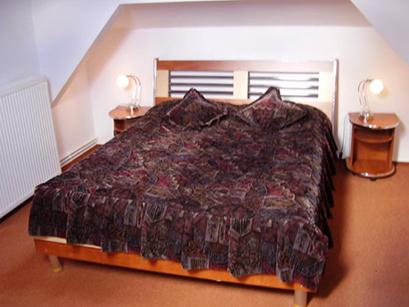 Vila 3* Alexandros Busteni Romania