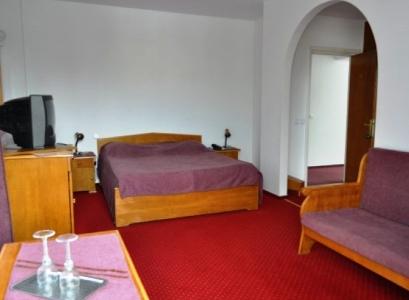 Vila 3* Liliacul si Trandafirul Calimanesti Caciulata Romania