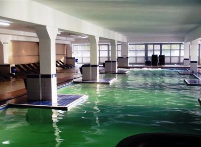 Vila 3* Liliacul si Trandafirul Calimanesti Caciulata Romania