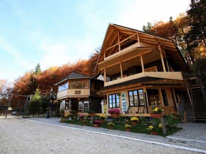 Pensiune 3* Stana Regala Sinaia Romania