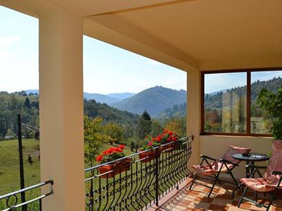 Casa Particulara 4*  Vero Vama Romania