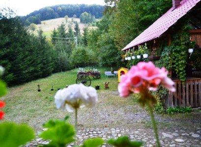 Pensiune 3* Alunis Campulung Moldovenesc Romania