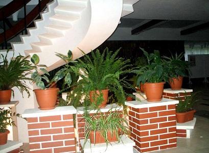 Hotel 3* Padis Baile Felix Romania