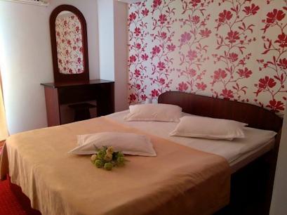 Hotel 2* Valahia Targoviste Romania