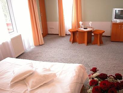 Vila 4* Postavarul Predeal Romania