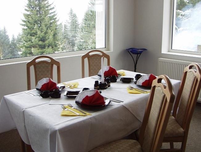 Vila 4* Piatra Mare Predeal Romania