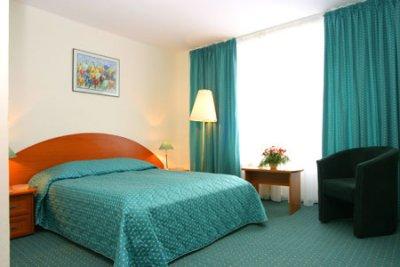 Hotel 3* Rina Sinaia Sinaia Romania