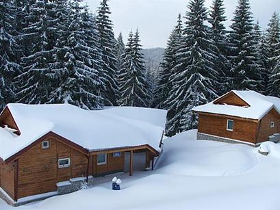 Vila 4* Izvorul Minunilor Stana de Vale Romania