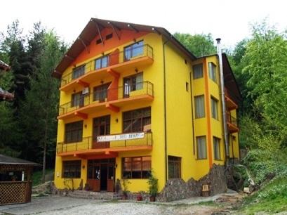 Pensiune 3* Trei Brazi  Baile Olanesti Romania